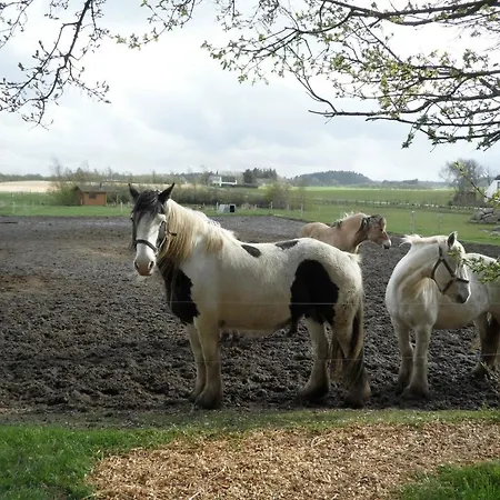 Hébergement de vacances Lille House Degnbøl