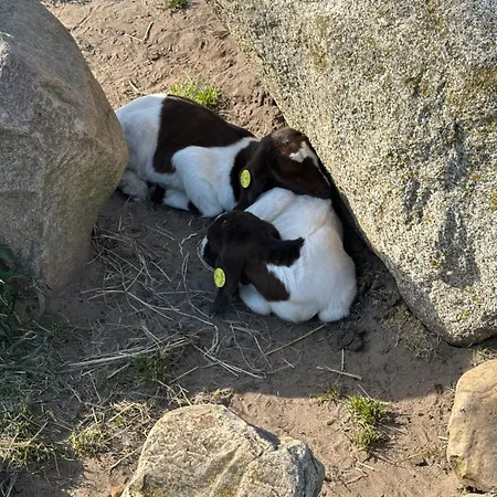 Casa vacanze Lille House *