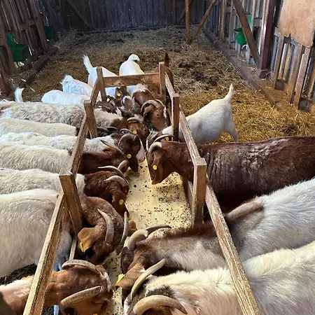 Lille House Casa vacanze Degnbøl