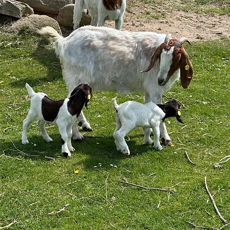 Casa vacanze Lille House Degnbøl
