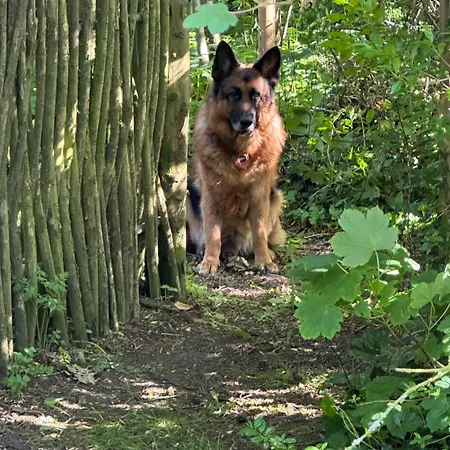 Casa vacanze Lille House