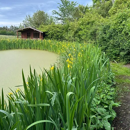 Casa vacanze Lille House