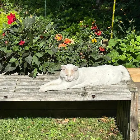 Lille House * Degnbøl